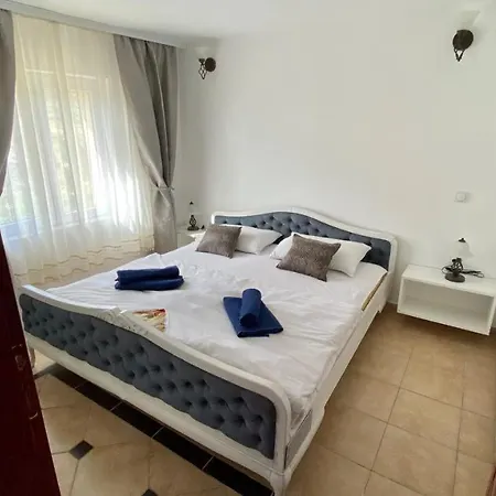 Vila Mimi - Vlasinsko Jezero Апартаменты